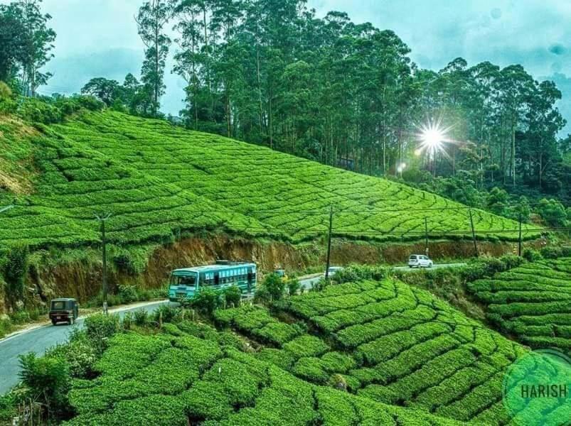 Munnar Tent Hills Resort Devikolam Екстериор снимка