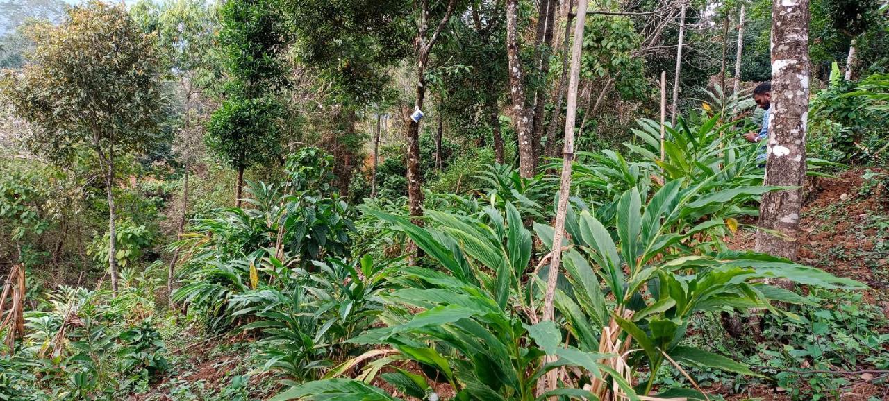 Munnar Tent Hills Resort Devikolam Екстериор снимка