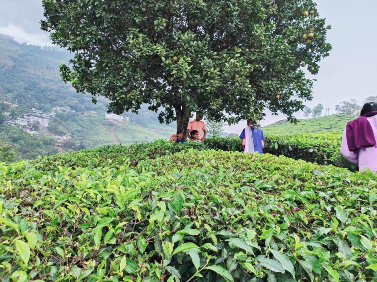 Munnar Tent Hills Resort Devikolam Екстериор снимка